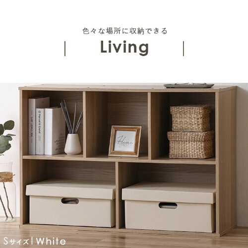 収納ケース ふた付き 段ボール収納 段ボール収納ケース2枚セット DB