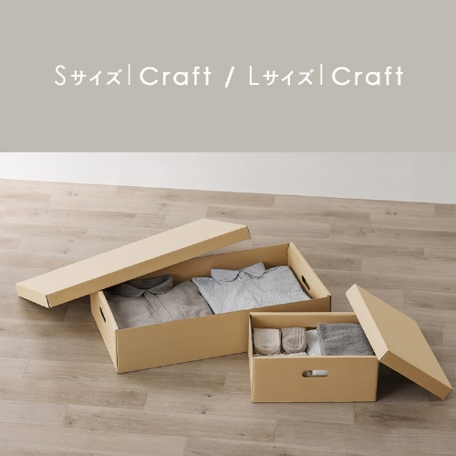 収納ケース ふた付き 段ボール収納 段ボール収納ケース2枚セット DB