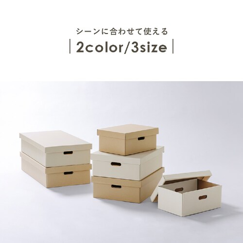 収納ケース ふた付き 段ボール収納 段ボール収納ケース2枚セット DB