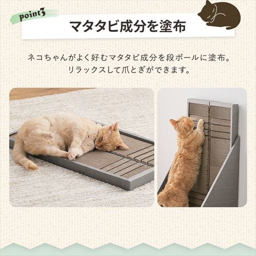 �L �܌��� �_���{�[�� �₷��t���܂Ƃ� �u���E�� P-YT650_5