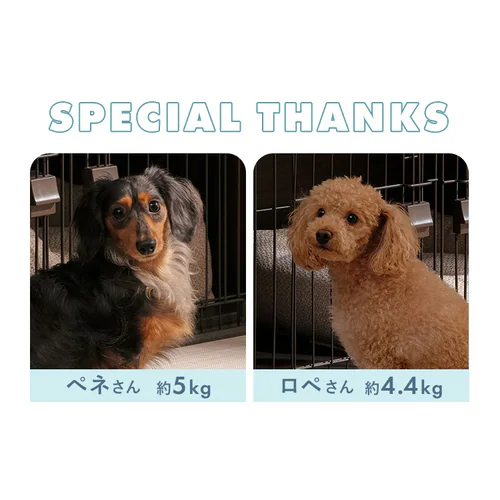 ペットトイレサークル PTC-N8040 グレー ペットトイレ 犬 猫_14