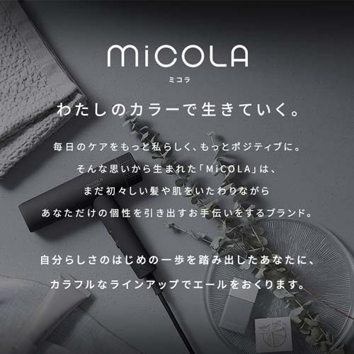 MiCOLA イオンドライヤー 折り畳み式 HDR-M401-H ダークグレー 107198