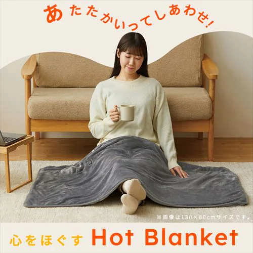 USB�d�C�ѕz 160�~80cm AEHB-FD1680A-H �O���[_12