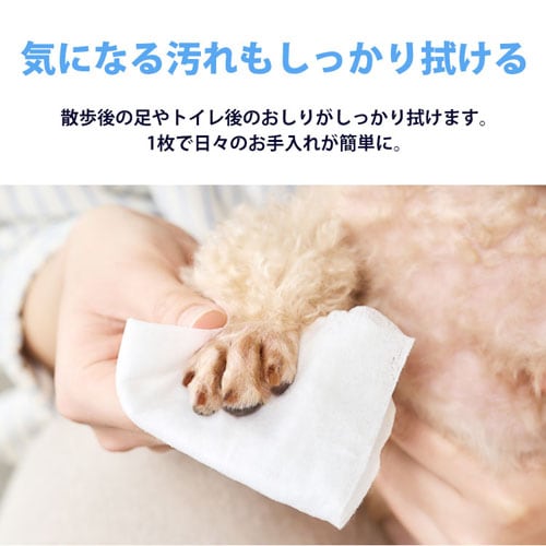 1440枚】クリーンペットケア トイレに流せるウェットティッシュ 144枚