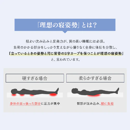 �}�b�g���X �V���O�� �O�܂� �|�P�b�g�R�C�� ����10�p PMTS10H-3S Sheep_4