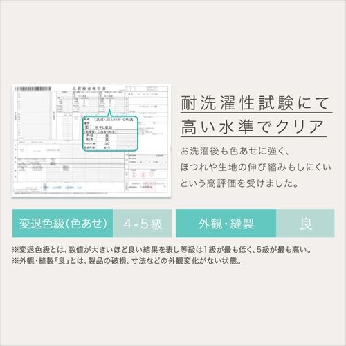 ���J�o�[ �T�e�������n �X�g���C�v PWC-EBS-4363 �A�C�{���[�y������s�z_6