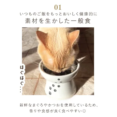  ���N�T�|�[�g �E�F�b�g�L���b�g�t�[�h ���H���j���[ �S��ނ������I�o���G�e�B�Z�b�g_5