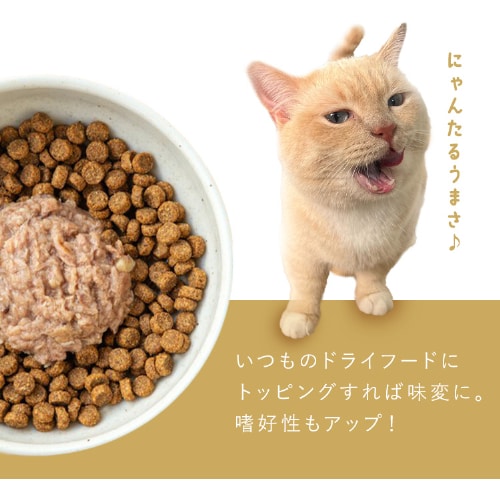 健康サポート ウェットキャットフード 美食メニュー 全種類お試し