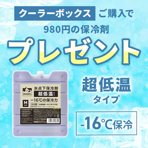 ★TV放映されました★HUGEL 25L エアロゲルソフトクーラーボックス AGSC-25C チャコールグレー クーラーボックス アウトドア レジャー BBQ_2