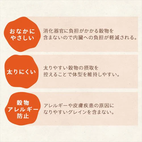  �w���V�[�X�e�b�v �S��ނ������I�o���G�e�B�Z�b�g �� �E�F�b�g�t�[�h_6