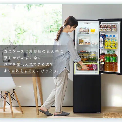 �①�� 170L ���X���� ��؃P�[�X���� ��l��炵 �ƒ�p 2�h�A IRSD-17A-WH �i�`�������z���C�g_10