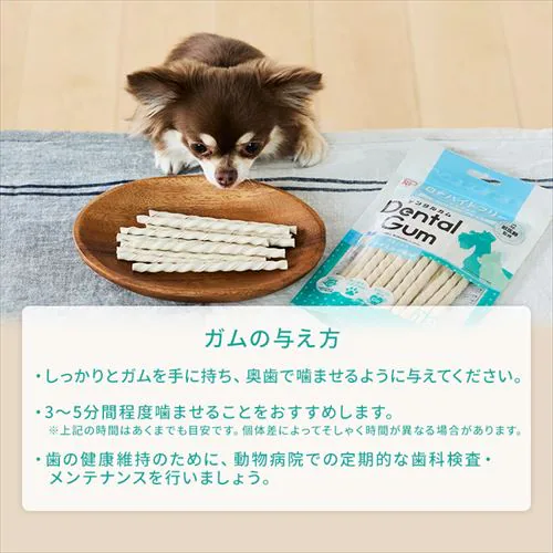 �y���������i�I�z�b��t�ďC ���^�f���^���K�� 10�{ DGH-10  �� ������ �f���^���P�A_9