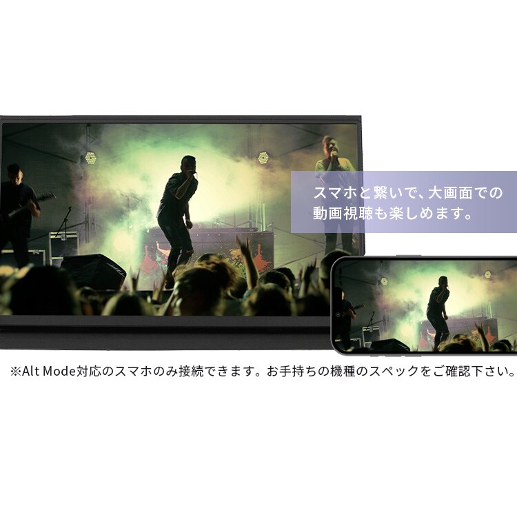 ポータブルモニター 15.6インチ FHD LUCA DP-EF164S-B ブラック 110455