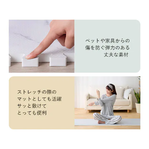 �W���C���g�}�b�g �t���A�}�b�g 9�� 60cm�~60cm ����2cm �e���]�[�� PJMRV-39_9