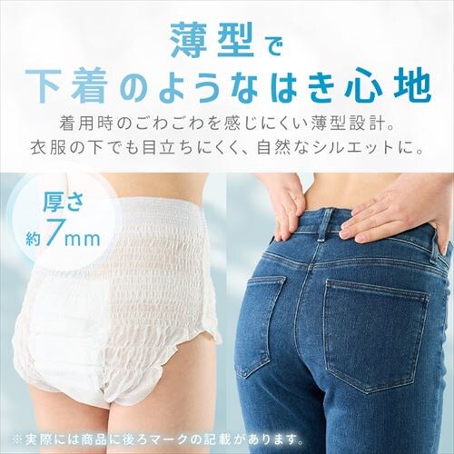 ���t�B�[�� ���K���� ���^�p���c SS�T�C�Y 24���� NAD-SS24-4_3