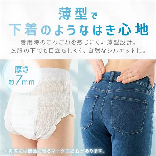 �y96���z���^�p���c SS�T�C�Y ���t�B�[�� ���K���� 24����NAD-SS24-4�~4�p�b�N_4