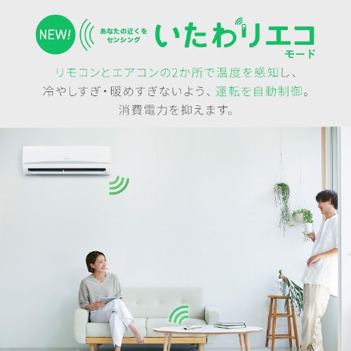エアコン 14畳 2025年モデル 工事費込み 節電 4.0kw 100V対応 IRA