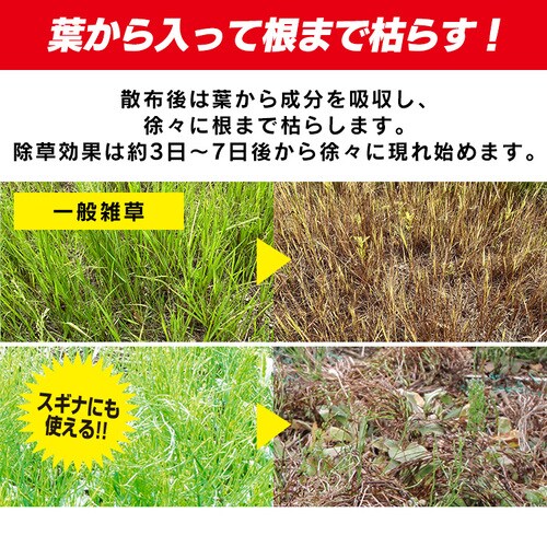 20個セット】うすめて使う速効除草剤 WSJ-N500 1924644 │アイリス 20個セット】うすめて使う速効除草剤 WSJ-N500 1924644 │アイリス