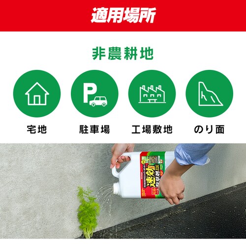 ����������4L WSJ-4L _5