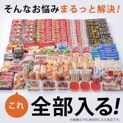 �Ⓚ�� 199L ��J�� ICSD-20B-W �z���C�g_10