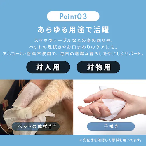 �y2880���z�����E�F�b�g�e�B�b�V�� 60�����~3�p�b�N�~16�� WTS-60P3P_5