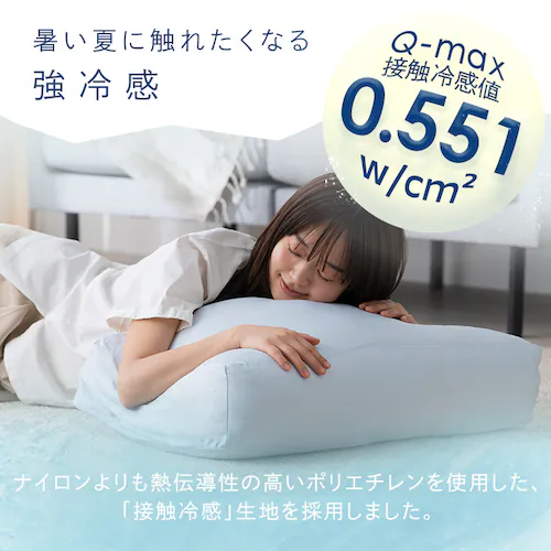 �⊴�z�c���[�J�o�[ FSC-NPES5-S ���C�g�u���[_4