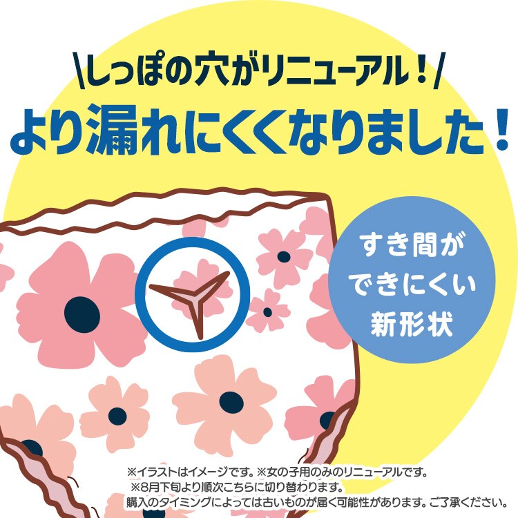 女の子用】【384枚】犬 おむつ ピタフィット XS 64枚入×6袋 NPD-XS64