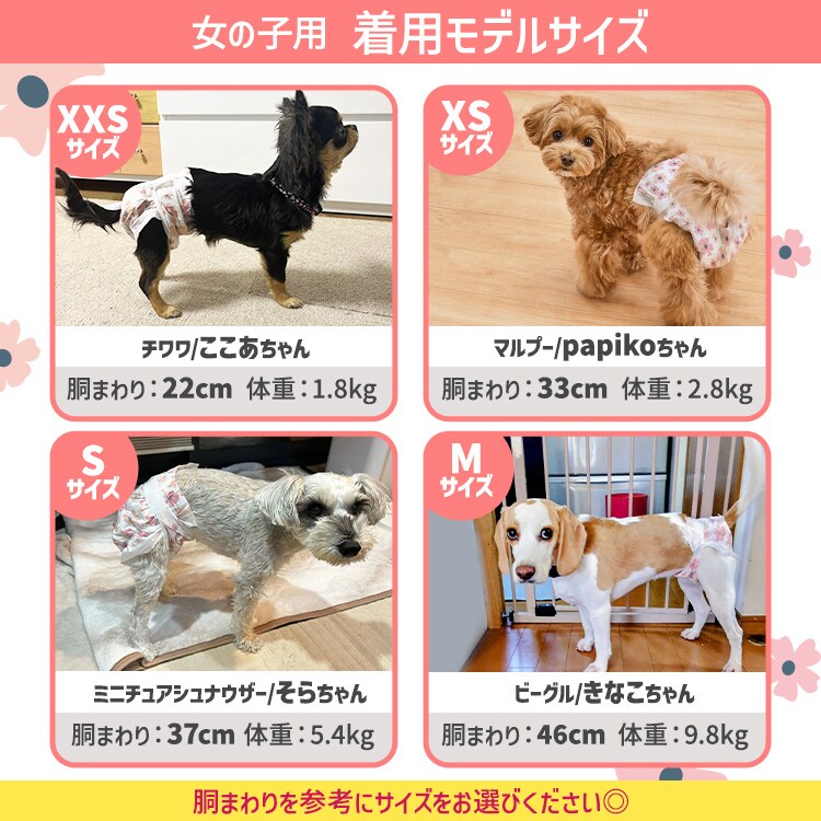 女の子用】【384枚】犬 おむつ ピタフィット XS 64枚入×6袋 NPD-XS64