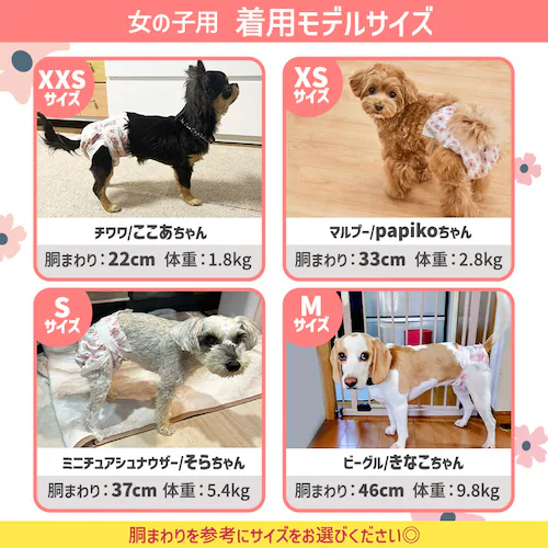 �y���̎q�p�z�� ���ނ� �s�^�t�B�b�g XXS 64����  NPD-XXS64 �� ���ނ�_6