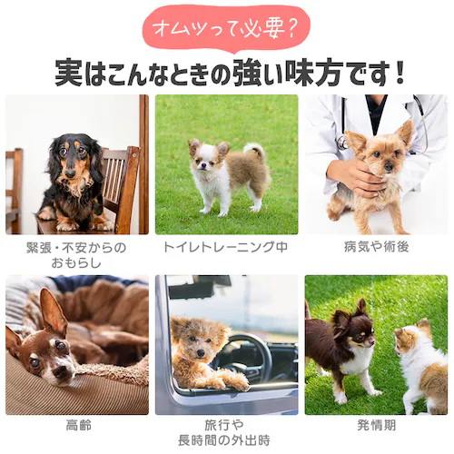�y���̎q�p�z�� ���ނ� �s�^�t�B�b�g XXS 64����  NPD-XXS64 �� ���ނ�_9