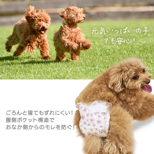 �y���̎q�p�z�� ���ނ� �s�^�t�B�b�g S 57����   NPD-S57 �� ���ނ�_12