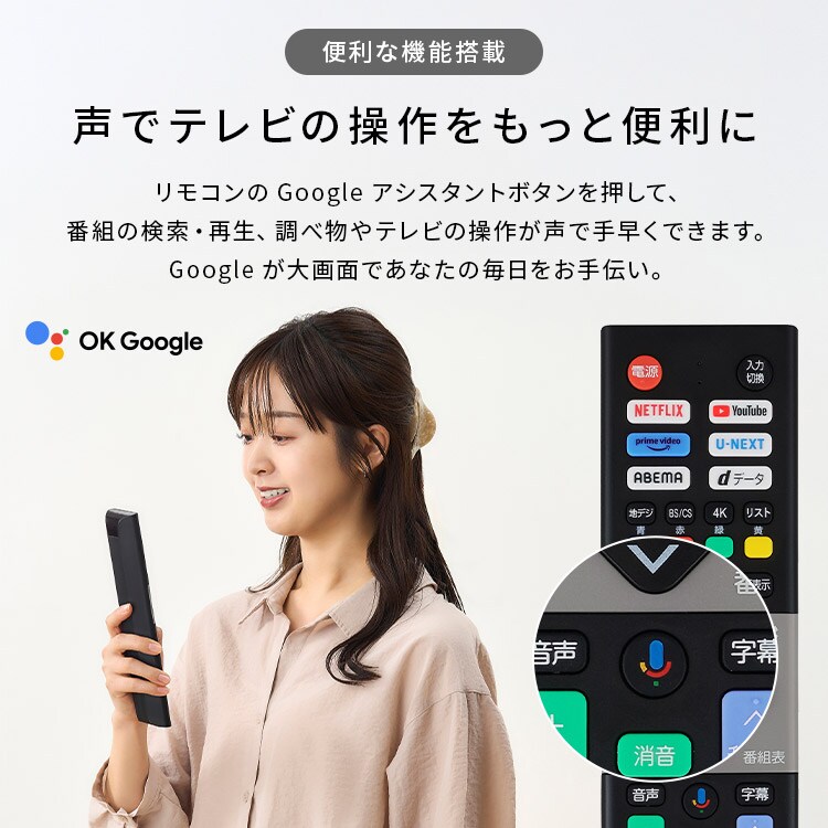 LUCA 液晶テレビ GoogleTV搭載 24V型 LT-24WGX-F1 ブラック 111146