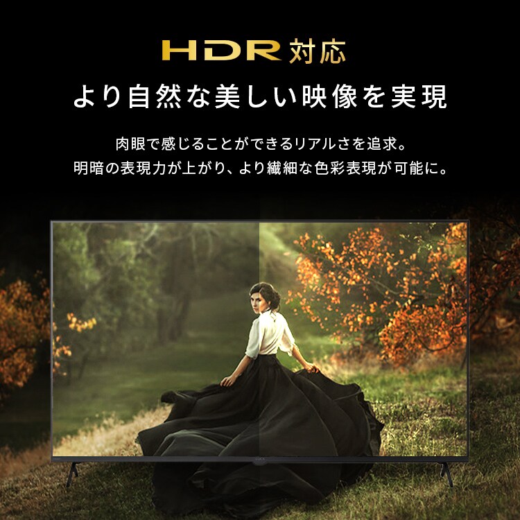 LUCA 液晶テレビ GoogleTV搭載 50V型 4K HDR LT-50UGX-F1 112082