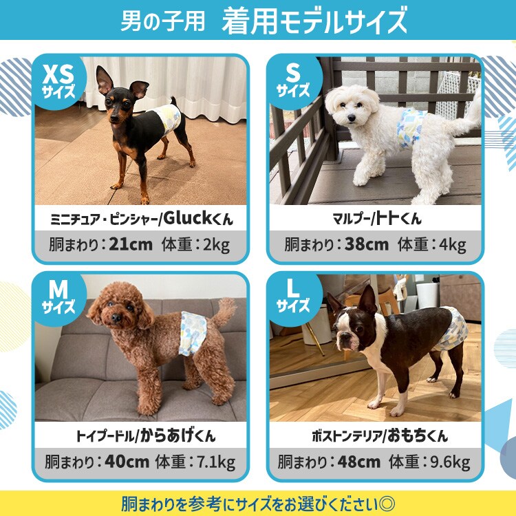 犬用おむつ (セット) 男の子用】【372枚】犬 おむつ ピタフィット L 62枚入×6袋 MNPD-L62 犬