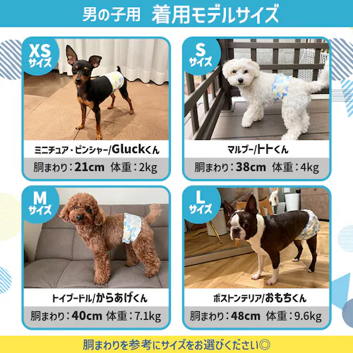 【男の子用】【216枚】犬 おむつ ピタフィット S 72枚入×3袋 MNPD-S72 犬 おむつ_7