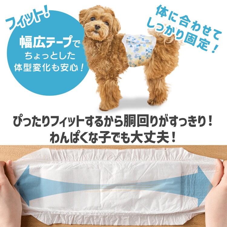 男の子用】【186枚】犬 おむつ ピタフィット L 62枚入×3袋 MNPD-L62 犬