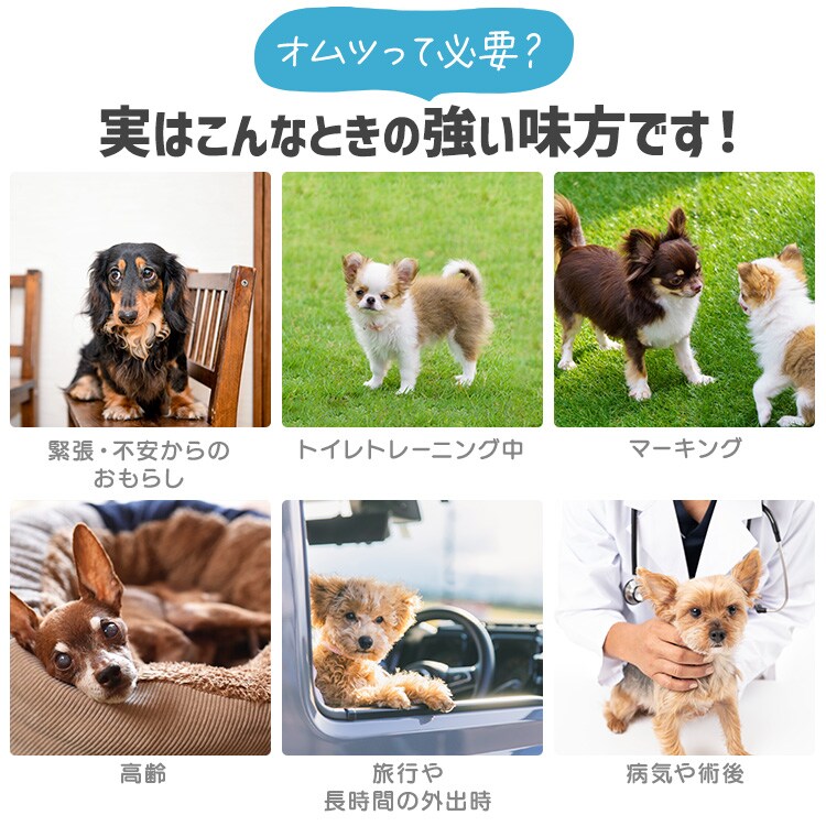 男の子用】【372枚】犬 おむつ ピタフィット L 62枚入×6袋 MNPD-L62 犬