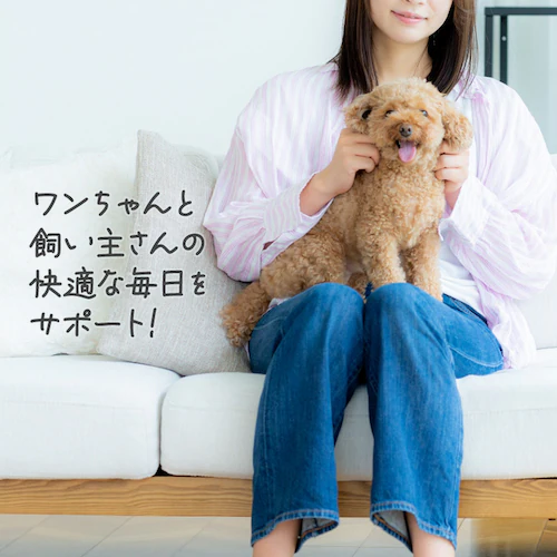 【男の子用】【216枚】犬 おむつ ピタフィット S 72枚入×3袋 MNPD-S72 犬 おむつ_20