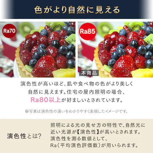 ���^�V�[�����O���C�g ������ 950lm �d���F SCL95L-P_11