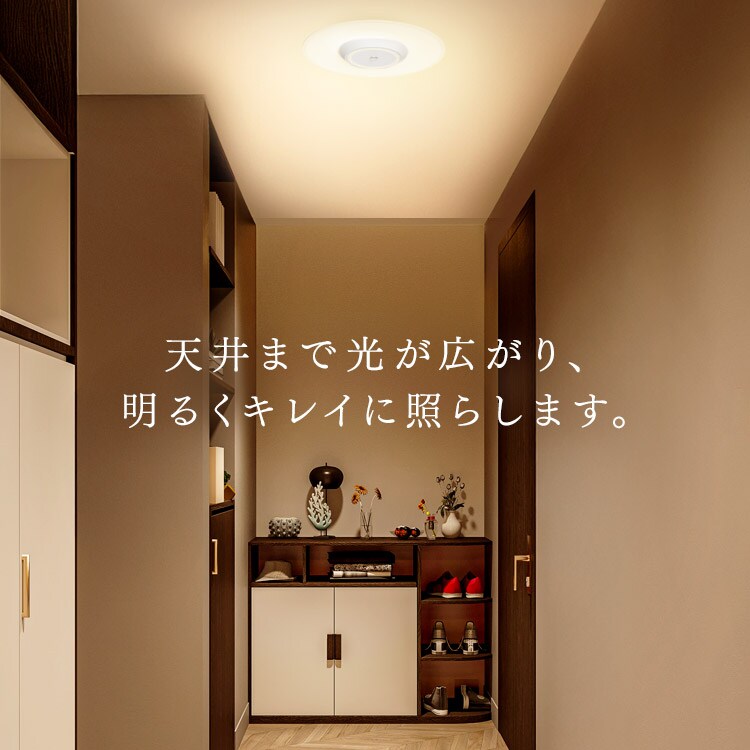小型シーリングライト 導光板 1900lm 昼光色 SCL190D-P 112653