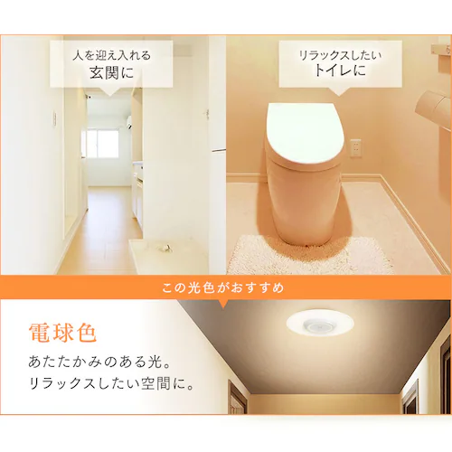 ���^�V�[�����O���C�g ������ 2000lm �����F SCL200D-PK�mB�n_7