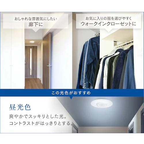 ���^�V�[�����O���C�g ������ 2000lm �����F SCL200D-PK�mB�n_8