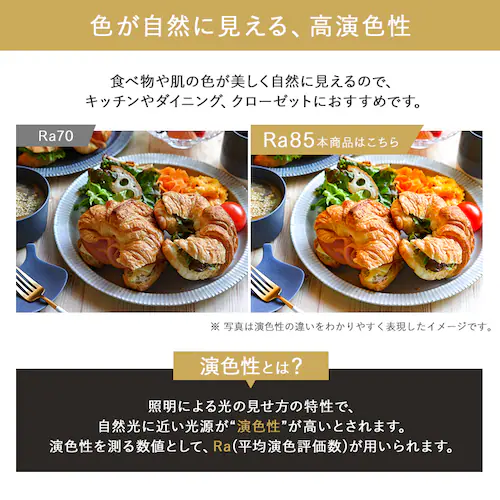 ���^�V�[�����O���C�g ���` 1200lm �����F SCL12D-U2_7