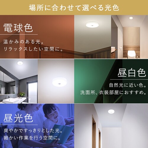 ���^�V�[�����O���C�g ���` 2000lm �����F �l���Z���T�[�t SCL20D-MS-U2_5