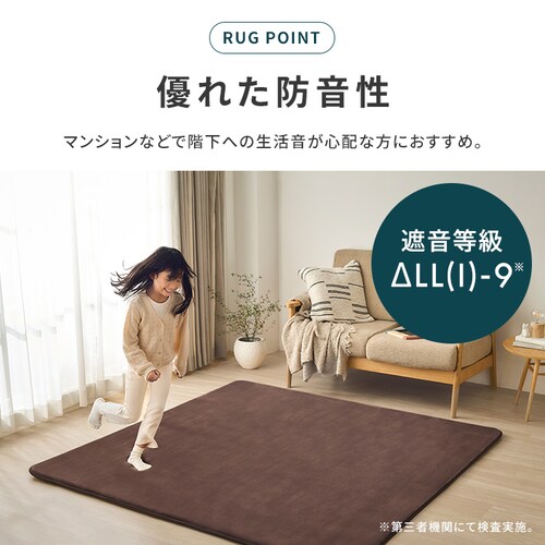 ���E�N�b�V�����z�b�g�J�[�y�b�g PHC-CR20A-T �u���E��_11