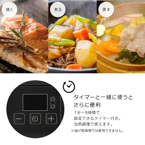 �r���g�C��IH �K�X�J�� �Q�� IHC-GBFL221-B_6