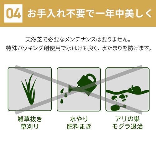 �h���h���l�H�� �P���~�P�� BPB-3011_9