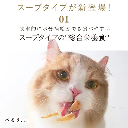 美食メニュー スープ まぐろ P-40SM×1P【メール便】_2