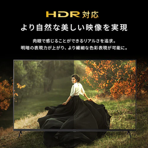 4K スマート液晶テレビ 55V型 LT-55UGX-G1 ブラック_4
