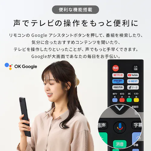 4K スマート液晶テレビ 55V型 LT-55UGX-G1 ブラック_11